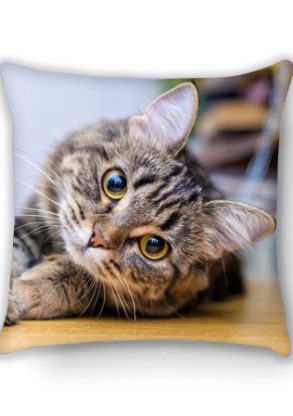 custom cat photo cushions online
